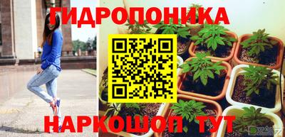 a pvp Кудымкар