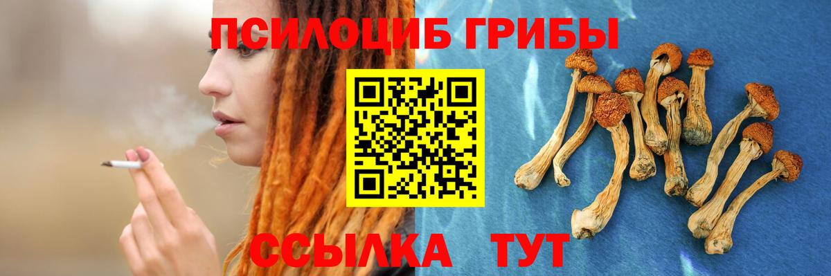 Галлюциногенные грибы GOLDEN TEACHER  Вход с VPN  Бузулук 